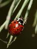 69708 – Photo : Sylvain Houpert – France (77)