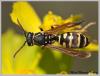 69775 – Photo : Mario Maganto Berdejo – Espagne