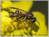 69864 – Photo : Mario Maganto Berdejo – Espagne