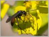 69813 – Photo : Mario Maganto Berdejo – Espagne