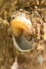 69617 – Photo : Nicolas Alric – France (12)