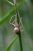 69307 – Photo : Vincent VALLI – France (10)