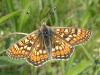 69036 – Photo : Pascal Pertuzon – France (42)