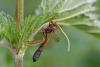 69777 – Photo : Daniel Ventard – France (71)