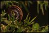 69528 – Photo : Jean-Philippe Sanquer – France (29)