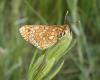 69256 – Photo : Martine Giban – France (36)