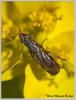 69776 – Photo : Mario Maganto Berdejo – Espagne