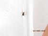 69189 – Photo : Edy Spagnol – France (11)