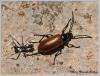 69814 – Photo : Mario Maganto Berdejo – Espagne