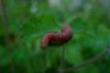 69068 – Photo : Alexandre C. – France (31)