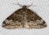 69481 – Photo : Dimitri GEYSTOR – France (47)