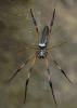 7023 – Photo : Régis Henry – Seychelles