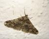 7039 – Photo : Arnaud Jean-Pierre – France (09)