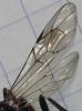 7471 – Photo : matthieu pilard – France (37)
