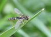 7764 – Photo : Amy – France (81)