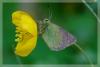 7941 – Photo : David Demerges – France (83)