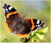 7599 – Photo : Jeff – France (47)