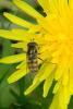 70554 – Photo : Nicolas Alric – France (12)