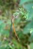 70453 – Photo : Nicolas Alric – France (12)