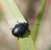 70955 – Photo : Bruno TUNE – France (02)