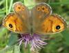 70434 – Photo : Axel Dehalleux – France (93)