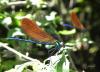 70690 – Photo : Noushka – France (31)