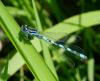 70426 – Photo : Vincent VALLI – France (10)