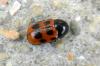 70258 – Photo : Nicolas Alric – France (12)