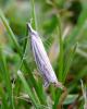 70568 – Photo : Vincent VALLI – France (10)