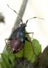70989 – Photo : Axel Dehalleux – France (93)