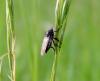 70268 – Photo : Vincent VALLI – France (10)