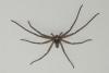 70144 – Photo : peggy levieux – Guadeloupe