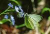 70261 – Photo : Bernard DELEFOSSE – France (26)