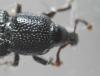 70440 – Photo : Louis Weitten – France (57)