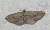 70219 – Photo : Bruno TUNE – France (02)