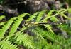 70468 – Photo : Noushka – France (31)