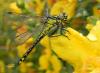 70761 – Photo : Noushka – France (31)