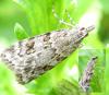 70255 – Photo : ADELSKI Adrien – France (02)