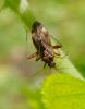70592 – Photo : Vincent VALLI – France (10)