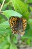 70024 – Photo : Nicolas Alric – France (12)