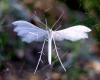 70444 – Photo : Vincent VALLI – France (10)