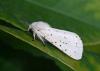 70574 – Photo : Eric SYLVESTRE – Espagne