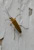 71536 – Photo : Nicolas Alric – France (12)