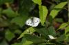71404 – Photo : Chambge – France (59)