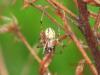 71790 – Photo : Edy Spagnol – Italie