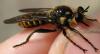 71302 – Photo : Axel Dehalleux – France (93)