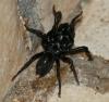 71466 – Photo : Lanig FLEURY – France (77)