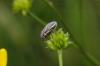 71847 – Photo : gvallee – France (27)