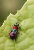 71860 – Photo : Denis Keith – France (28)
