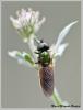 71010 – Photo : Mario Maganto Berdejo – Espagne